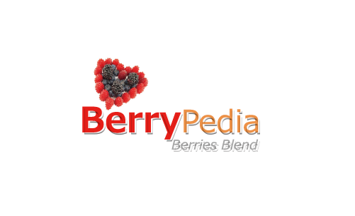 BerryPedia 莓果百科
