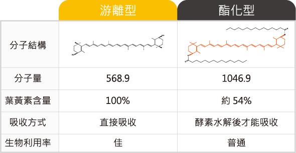 游離型葉黃素與酯化型葉黃素兩者相比，游離型葉黃素作用更有效